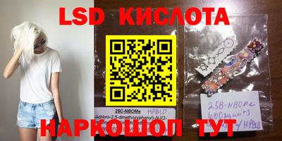 амф Донской