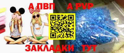 амф Донской